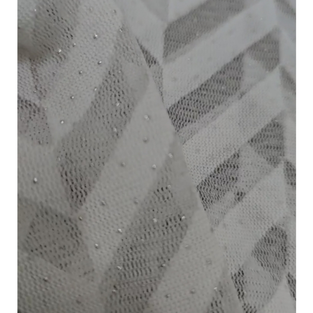 2BRAND NEW SHEER SHIRTS - Picture 2 of 2